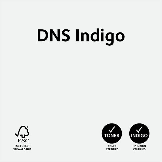 DNS Indigo