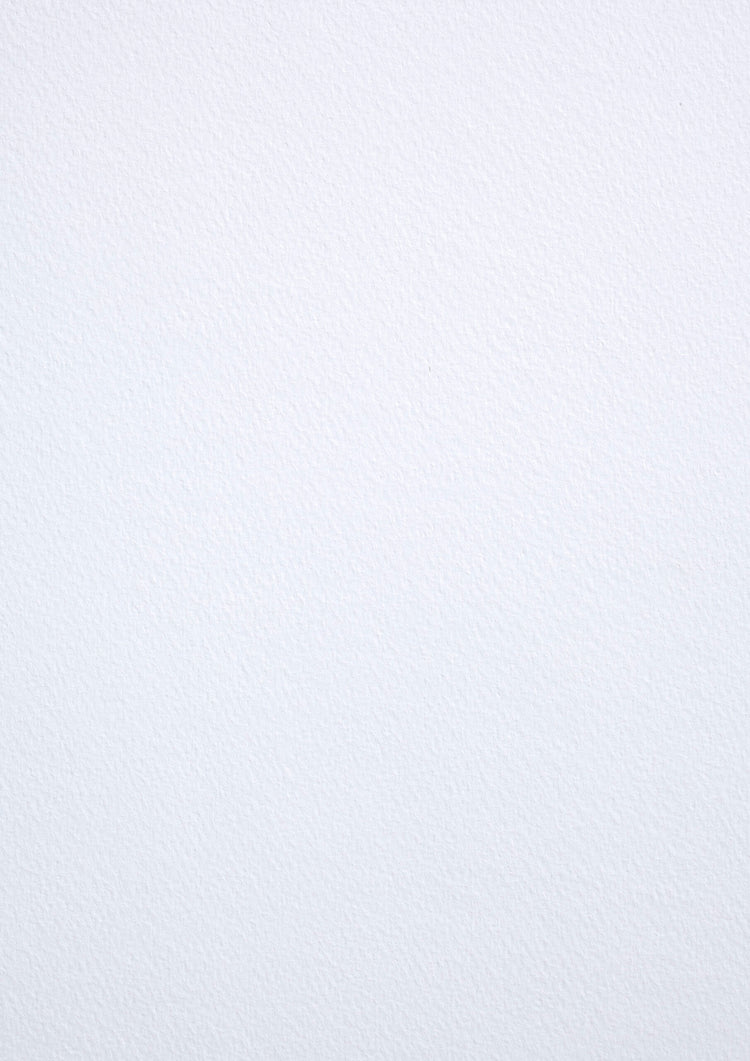 Buy Tintoretto Gesso online at Spicers.